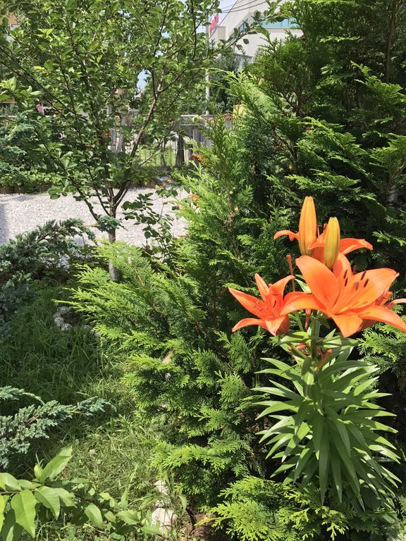 Apartment Near The Airport Сараево Екстериор снимка